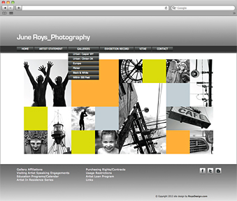 roys photography website